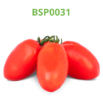 tomate-industrial-processo-bsp0031