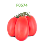 tomate-industrial-processo-f0574