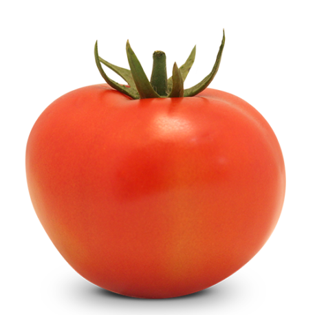 Tomate Indeterminado Salada BS IS0091