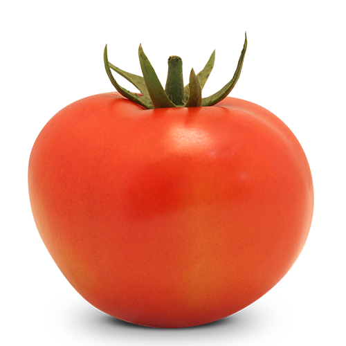 Tomate Indeterminado Salada BS IS0091