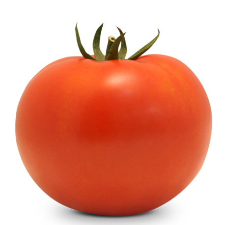 Tomate Indeterminado Salada BS IS0095