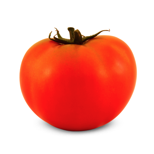 Tomate Indeterminado Salada Marangatú