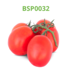 tomate-industrial-processo-bsp0032