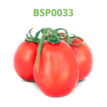 tomate-industrial-processo-bsp0033