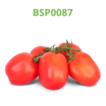 tomate-industrial-processo-bsp0087