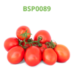 tomate-industrial-processo-bsp0089